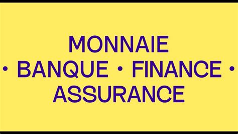 MASTER MONNAIE BANQUE FINANCE ASSURANCE CHARGE D AFFAIRES PRO ET