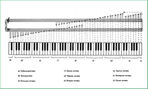 Схема клавиш пианино 85 фото