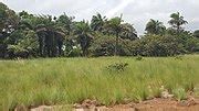 Category:Landscapes of Liberia - Wikimedia Commons