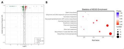 Differentially Accumulated Metabolites DAM Between Male Sterile SF