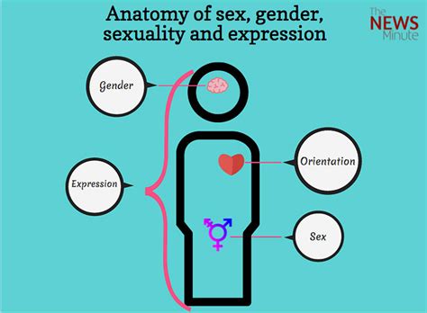 Understanding Sex And Gender They Are Connected But Not Interdependent