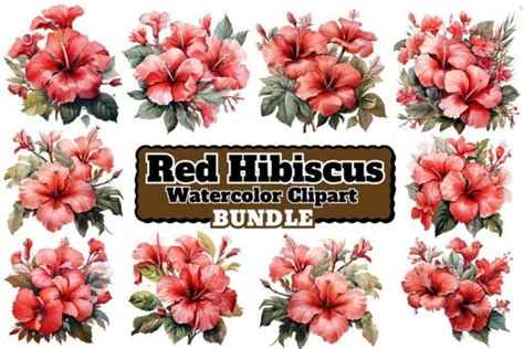 Watercolor Red Hibiscus Clipart Graphic by craftsmaker · Creative Fabrica