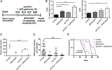 A Highly Selective And Potent Cxcr Antagonist For Hepatocellular