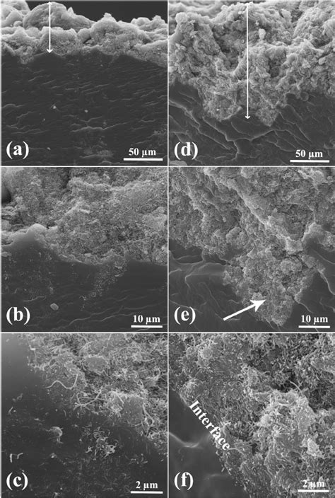 Cross Sectional Morphology Of CNT10 A B C And CNT 60 D E F At