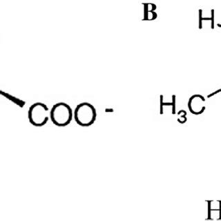 Chemical structure of the compatible solutes. a Ectoine... | Download ...