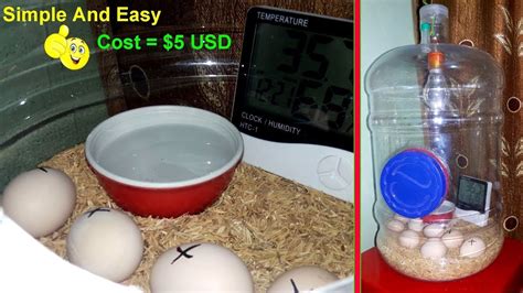 Diy Hatching Egg Incubator Simple And Easy Homemade Incubator