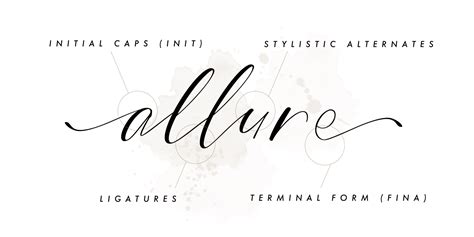 Bride Style Font | Webfont & Desktop | MyFonts