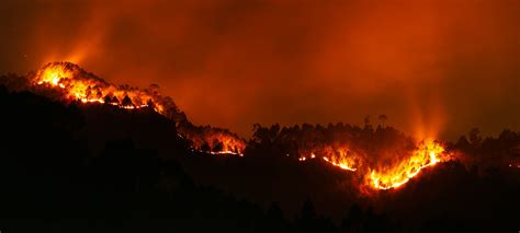 La Capa De Ozono Dañada Por El Humo De Los Incendios Nextcity Labs