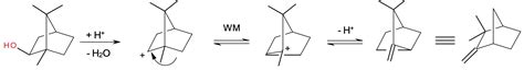 Wagner-Meerwein rearrangement | Chemistry Online