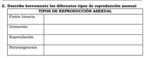 Solved Tipos De Reproducci N Asexual Fisi N Binaria Gemaci N