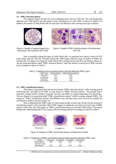 A Yolo And Convolutional Neural Network For The Detection And