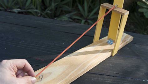 How To Build A Catapult For A School Project How To Adult