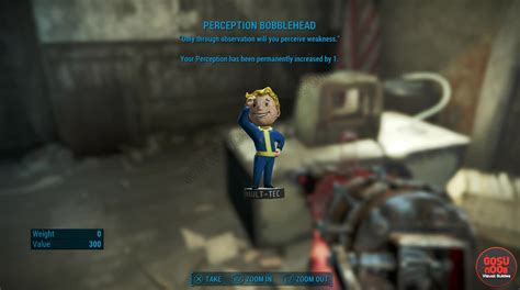 Perception Bobblehead | Fallout 4