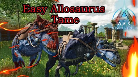 Easy Allosaurus Tame Ark Survival Ascended Youtube