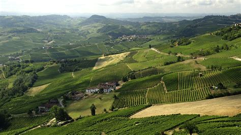 Piedmont Wine Region, Italy | Winetourism