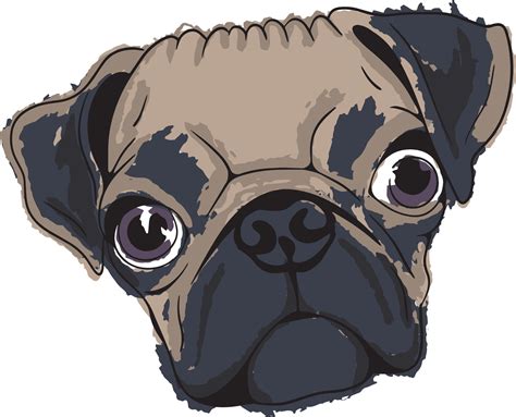 Hand Drawn Pug 29136672 Vector Art at Vecteezy