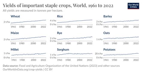 Yields of important staple crops - Our World in Data