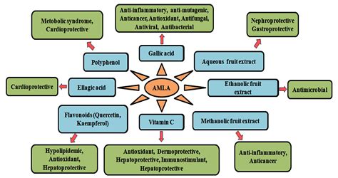 Emblica Officinalis Amla With A Particular Focus On Its Antimicrobial