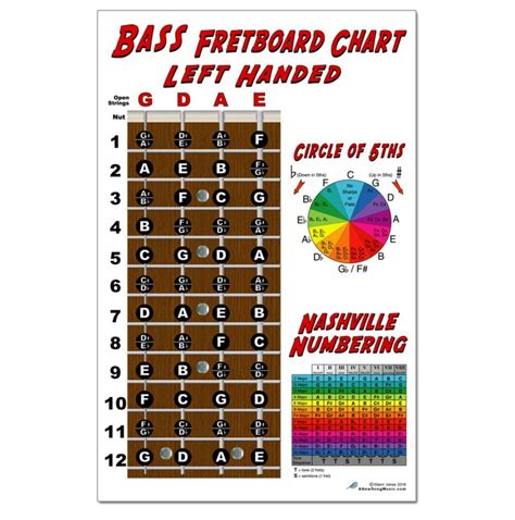 5 String Bass Fretboard Notes