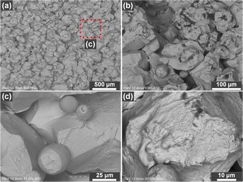 Sem Morphologies Of The As Extruded Fe Cr Ni Alloy Inner Surface At