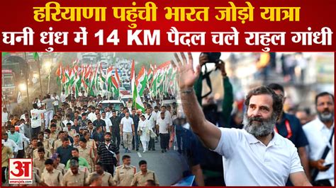 Rahul Gandhi Bharat Jodo Yatra Reached Haryana Amar Ujala Hindi News Live हरियाणा पहुंची