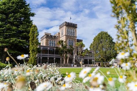 Dunedin Castle To Cruise Tour