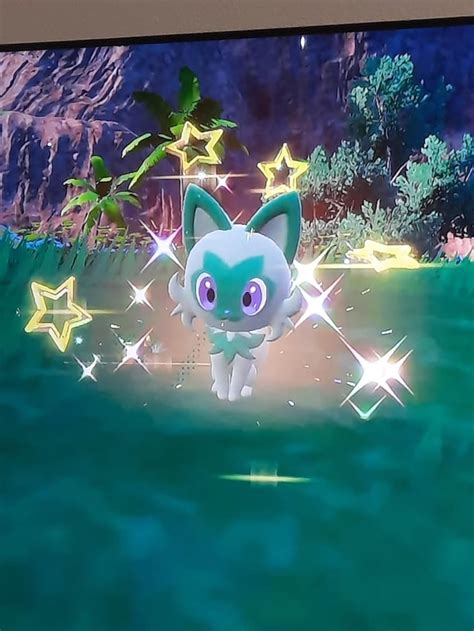 Gen 9 Finally Got My Shiny Sprigatito After 2821 Masuda Method Eggs