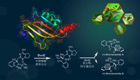 Publications EEG网 Enzyme Engineering Group SDU