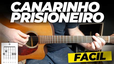 Canarinho Prisioneiro Chico Rey E Paran Como Tocar No Viol O Youtube