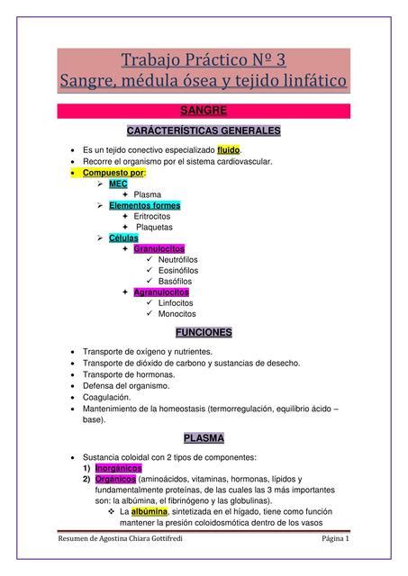 Sangre Médula Ósea y Tejido Linfático Agos Gottifredi uDocz