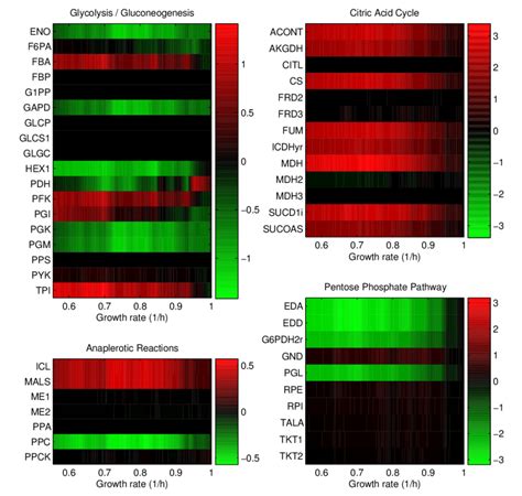 Figure E Flux Differences V In Mmol G DW H Units For The Main