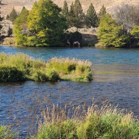 2023 Best River Trails in Warm Springs | AllTrails