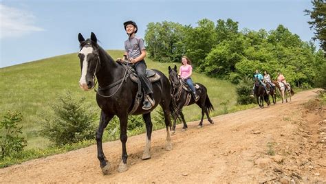 big rock dude ranch horseback riding   smoky mountains artofit