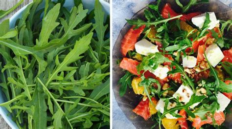 Salat De Rucola Cu Somon Br Nz I Nuci