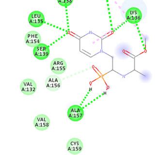 2D Interactions Of Compound 14a In The Binding Sites Of HIV 1 RT