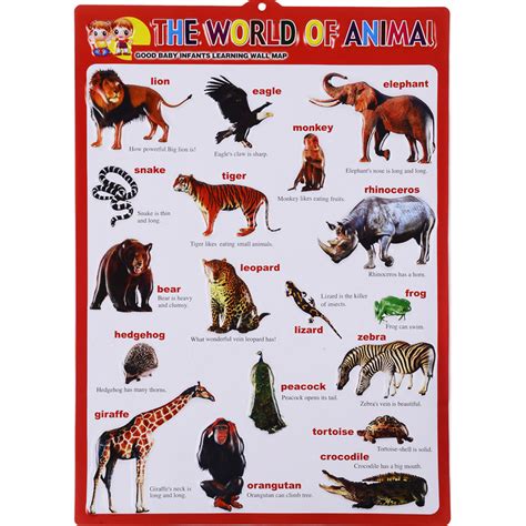 Poster (Animals) - T For Toys