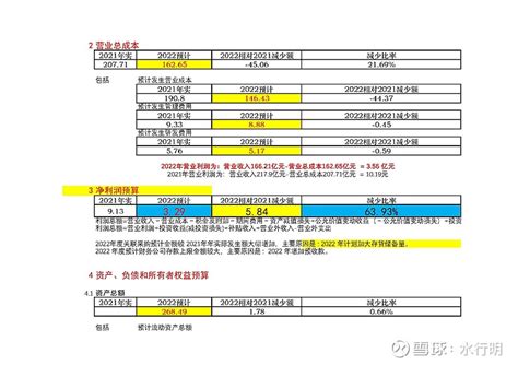 中直股份2022年度财务预算详细分析报告（2022年5月） 中直股份（6000382022年度财务预算详细分析报告（2022年5月20日