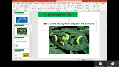 Pest Control Pesticides And Biological Control Gcse Biology 9 1 Youtube