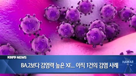 하와이 오미크론 재조합 변의 Xe 상륙 Kbfd