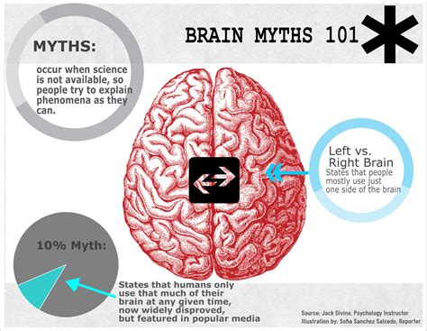 Researchers bust brain myths