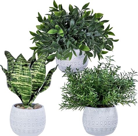 Winlyn Lot De Plantes Artificielles En Pot Eucalyptus Romarin