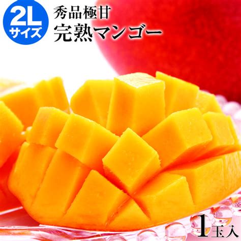 【楽天市場】宮崎県産 完熟マンゴー マンゴー 1玉 2lサイズ 約350g～約449g 送料無料 健康 ギフト プレゼント フルーツ