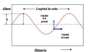 Amplitud De Onda Qu Es Caracter Sticas Descripci N Ejercicio Resuelto