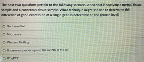 Solved The Next Two Questions Pertain To The Following Chegg