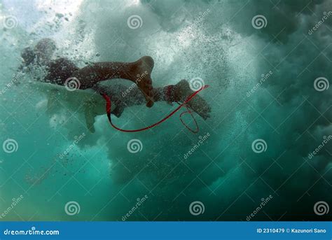 Duck diving stock image. Image of extreme, barrel, watersports - 2310479