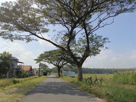 beautiful scenery   suburban village stock image image  bluesky