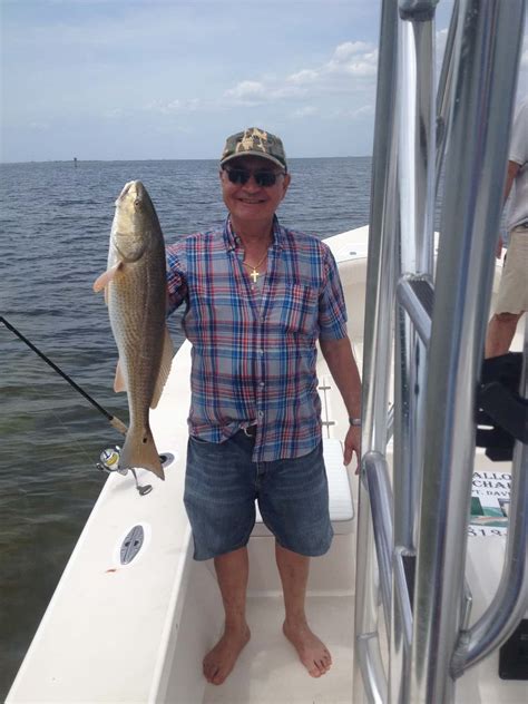 Tampa Fishing Guide 813 758 3406 Down Town Tampa Florida Shallow