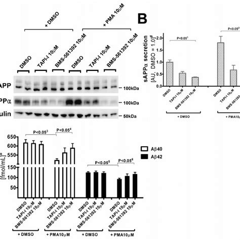 BMS 561392 inhibits PMA activated α secretase activity enhancing A β