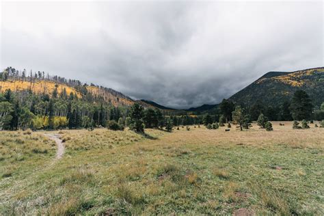 Inner Basin Lockett Meadow Fall Hike Flagstaff 11 Aspiring Wild