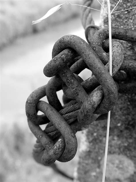 Chain Free Photo Download Freeimages